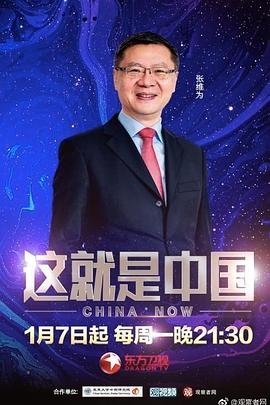 电影精品国产成a人在线观看